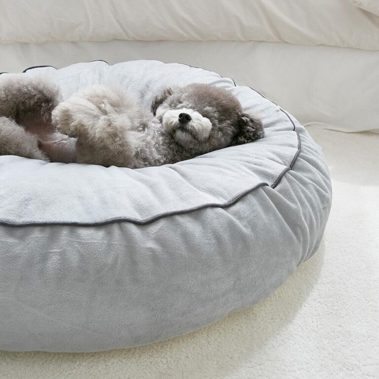 반려동물 추천 쁘리엘르 원스 극세사 강아지 방석 솜포함, 그레이, L(75 x 75 …, 1개 후기 및 스펙 상세 확인하기!!