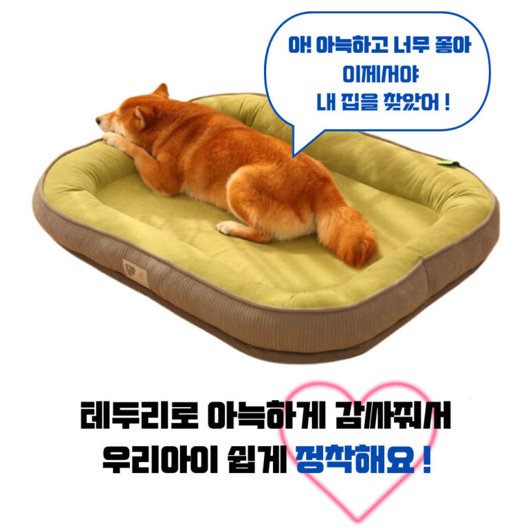 반려동물 추천 런레이더 미끄러움방지 반려동물 꿀잠 방석, M(50cmX40c…, 그레이, 1개 후기 및 스펙 상세 확인하기!!