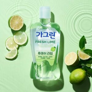 가그린 후레쉬 라임 구강청결제, 750ml, 2개 추천 후기 확인!!