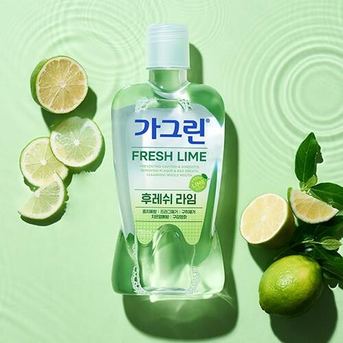 가그린 후레쉬 라임 구강청결제, 750ml, 2개 추천 후기 확인!!