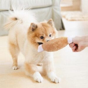반려동물 추천 봉시리즈 삑삑이 애견 봉제장난감, 갈비, 길이15 X 폭8 …, 1개 후기 및 스펙 상세 확인하기??