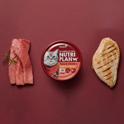 반려동물 추천 동원뉴트리플랜 고양이 간식 습식캔, 혼합맛(흰살참치/닭…, 160g, 24개 후기 및 스펙 상세 확인하기??