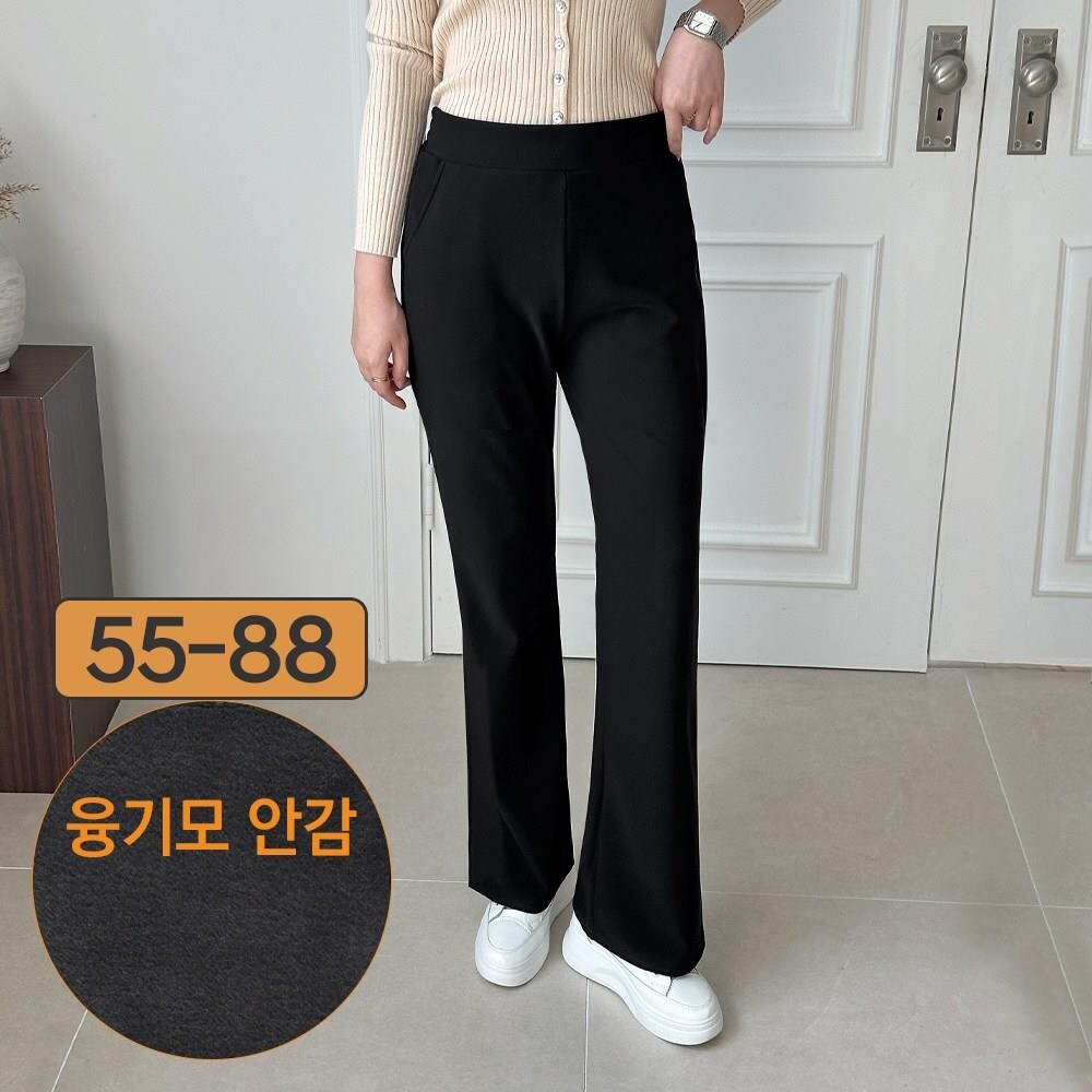 photo 121 잡학다식한 정보