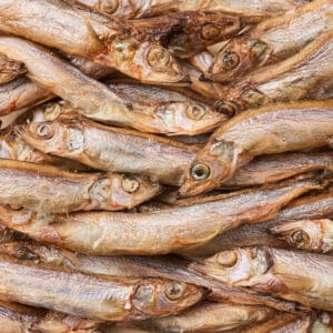 반려동물 추천 3651 바이츠 동결건조 대용량 고양이 트릿, 열빙어, 350g, 1개 후기 및 스펙 상세 확인하기??