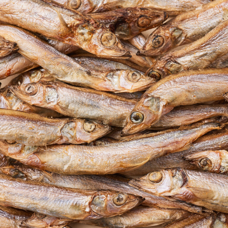 반려동물 추천 3651 바이츠 동결건조 대용량 고양이 트릿, 열빙어, 350g, 1개 후기 및 스펙 상세 확인하기??