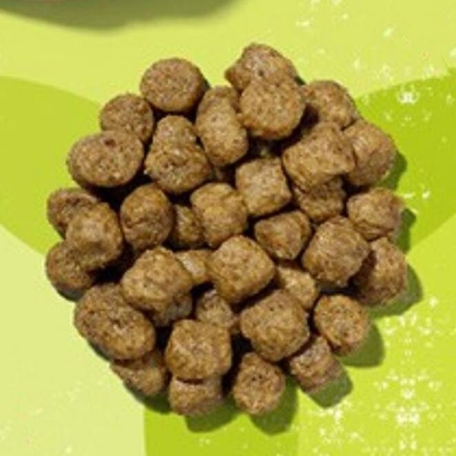 반려동물 추천 나우프레쉬 퍼피 그레인프리 스몰브리드 건식사료, 칠면조, 2kg, 1개 후기 및 스펙 상세 확인하기??