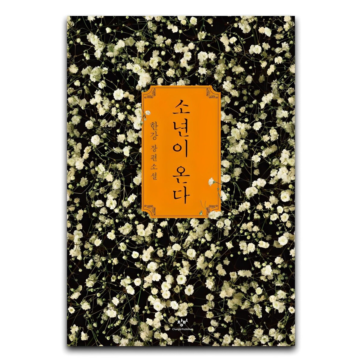 photo 6 잡학다식한 정보